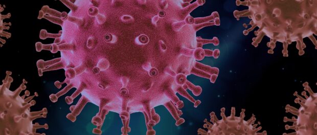 virus-4937553_1920 skat under corona